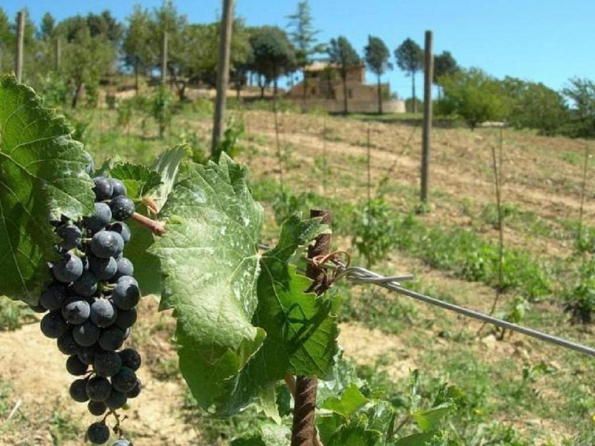 Agriturismo Colle Pu Pieve San Nicolo المظهر الخارجي الصورة