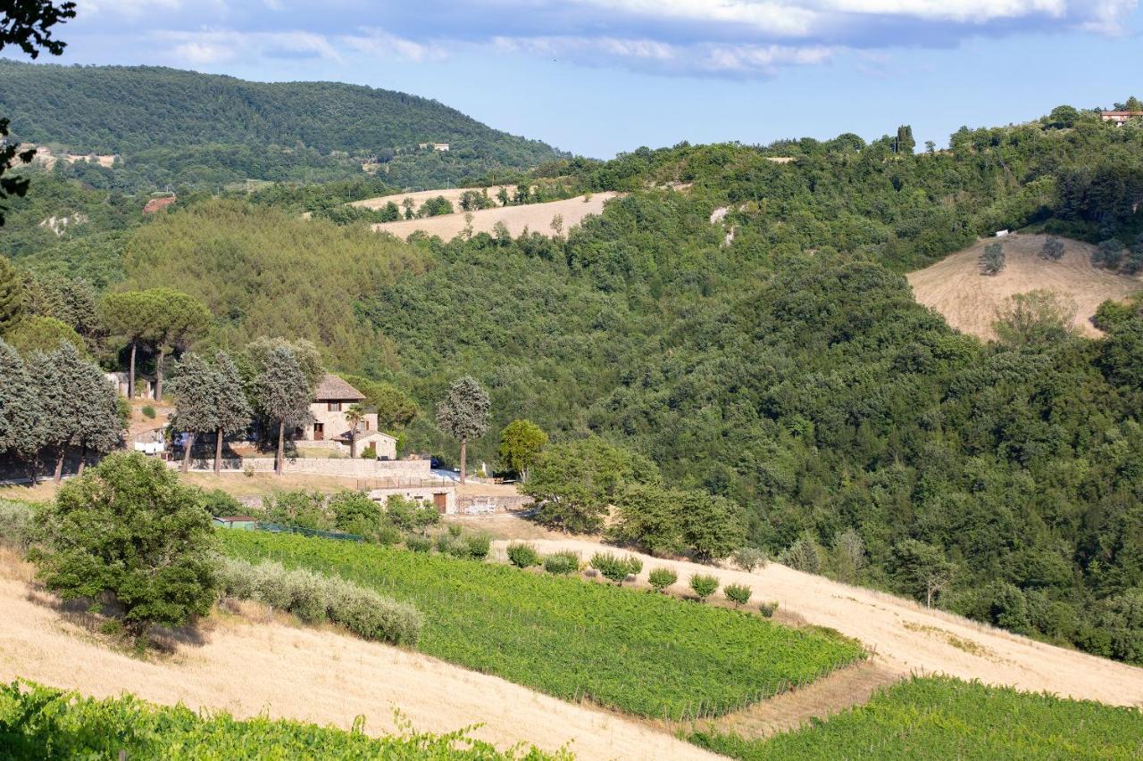 Agriturismo Colle Pu Pieve San Nicolo المظهر الخارجي الصورة
