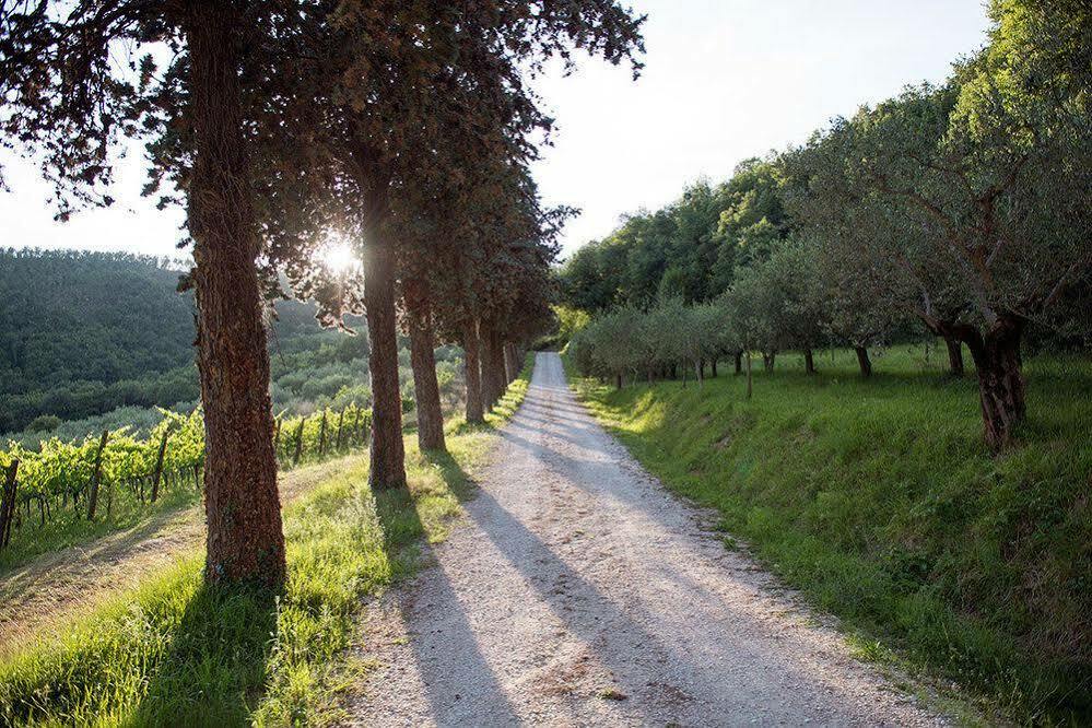 Agriturismo Colle Pu Pieve San Nicolo المظهر الخارجي الصورة